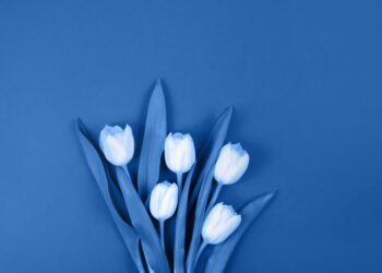 2020's Biggest Wedding Trends