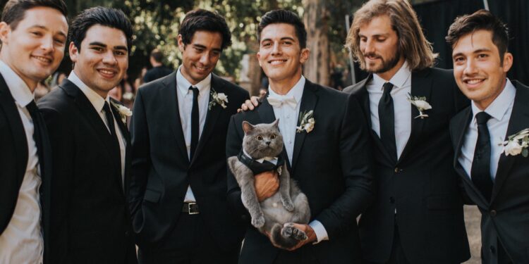 Groom Makes His Cat His Best Man