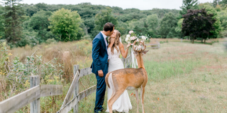 Deer Photobombs Wedding To Eat Bride's Bouquet