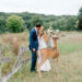 Deer Photobombs Wedding To Eat Bride's Bouquet