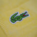 The most exciting story behind the crocodile shirt of Lacoste