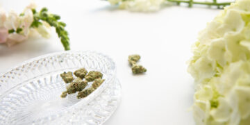 The growth of marijuana weddings