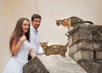 Sharing love with others